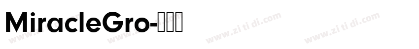 MiracleGro字体转换