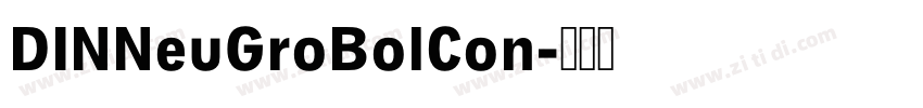 DINNeuGroBolCon字体转换 DINNeuGroBolCon字体转换