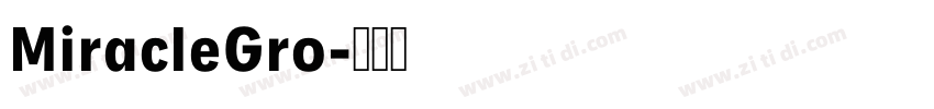 MiracleGro字体转换