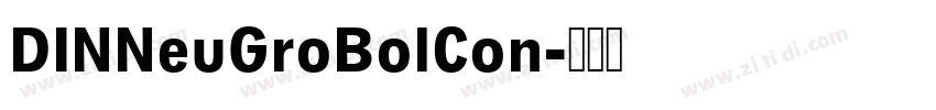 DINNeuGroBolCon字体转换 DINNeuGroBolCon字体转换