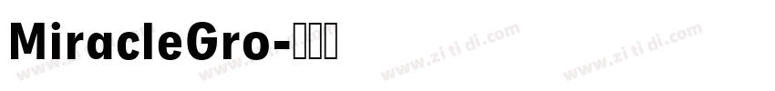 MiracleGro字体转换