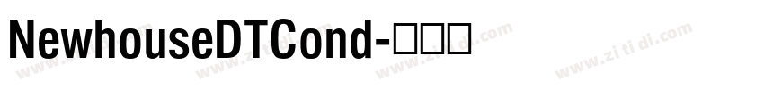 NewhouseDTCond字体转换