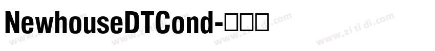 NewhouseDTCond字体转换