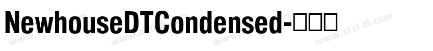 NewhouseDTCondensed字体转换 NewhouseDTCondensed字体转换