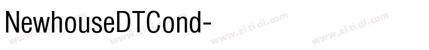 NewhouseDTCond字体转换