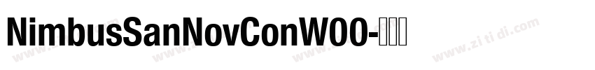 NimbusSanNovConW00字体转换