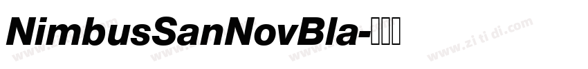 NimbusSanNovBla字体转换 NimbusSanNovBla字体转换