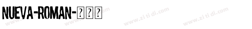Nueva-Roman字体转换