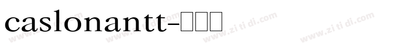 caslonantt字体转换