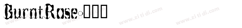 BurntRose字体转换