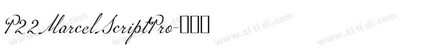 P22MarcelScriptPro字体转换