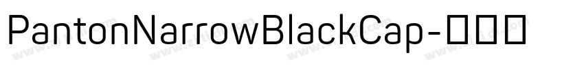 PantonNarrowBlackCap字体转换