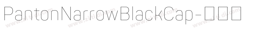 PantonNarrowBlackCap字体转换