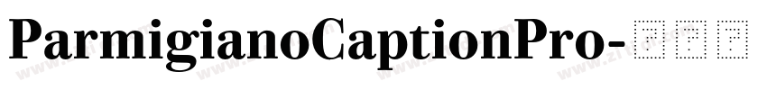 ParmigianoCaptionPro字体转换 ParmigianoCaptionPro字体转换