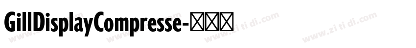 GillDisplayCompresse字体转换 GillDisplayCompresse字体转换
