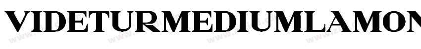 VideturMediumLamont字体转换 VideturMediumLamont字体转换