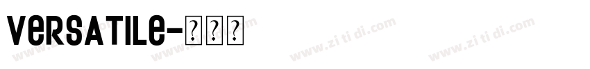 Versatile字体转换