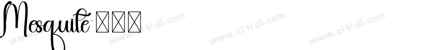Mesquite字体转换