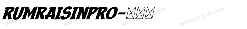RumRaisinPro字体转换