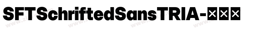SFTSchriftedSansTRIA字体转换