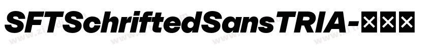 SFTSchriftedSansTRIA字体转换