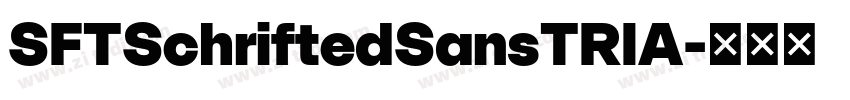 SFTSchriftedSansTRIA字体转换