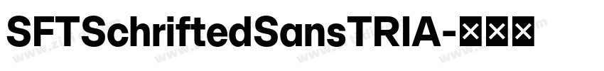 SFTSchriftedSansTRIA字体转换