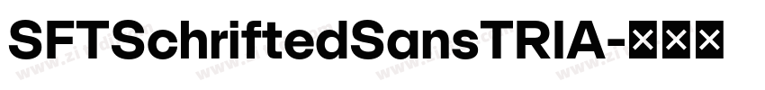 SFTSchriftedSansTRIA字体转换