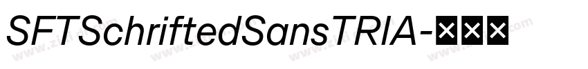 SFTSchriftedSansTRIA字体转换