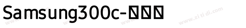 Samsung300c字体转换