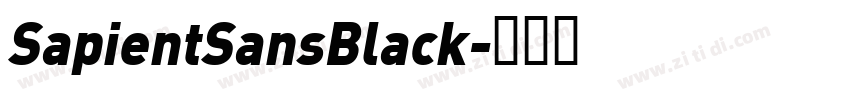 SapientSansBlack字体转换