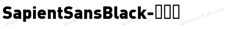 SapientSansBlack字体转换