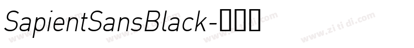 SapientSansBlack字体转换