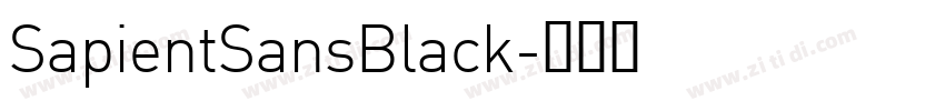 SapientSansBlack字体转换