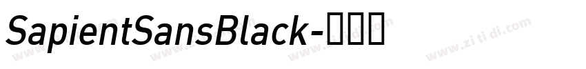 SapientSansBlack字体转换
