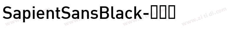SapientSansBlack字体转换