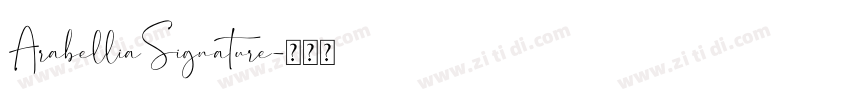 ArabelliaSignature字体转换