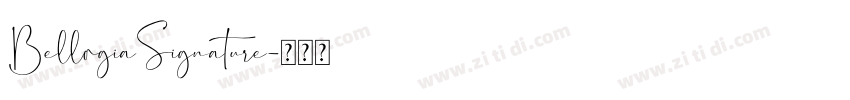BellogiaSignature字体转换