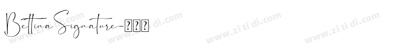 BettinaSignature字体转换