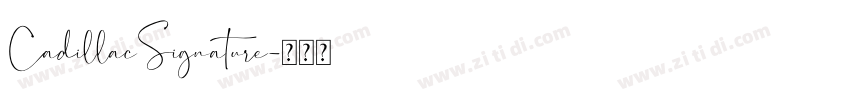 CadillacSignature字体转换