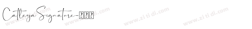 CatleyaSignature字体转换