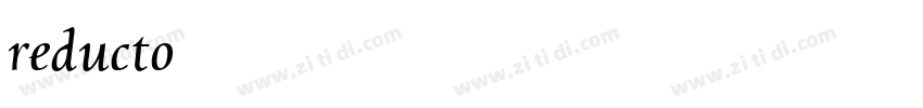 reducto字体转换