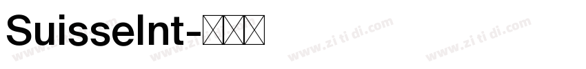 SuisseInt字体转换