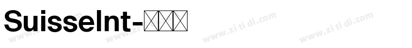 SuisseInt字体转换