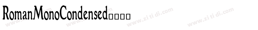 RomanMonoCondensed字体转换
