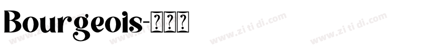 Bourgeois字体转换 Bourgeois字体转换