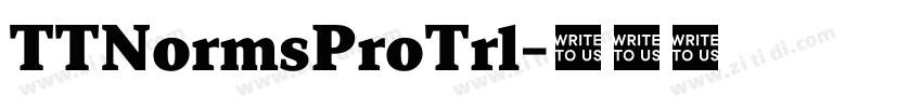 TTNormsProTrl字体转换