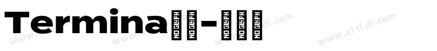 Termina字体字体转换