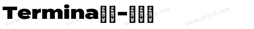 Termina字体字体转换