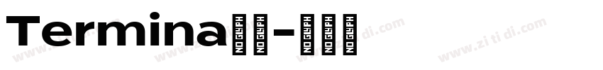 Termina字体字体转换